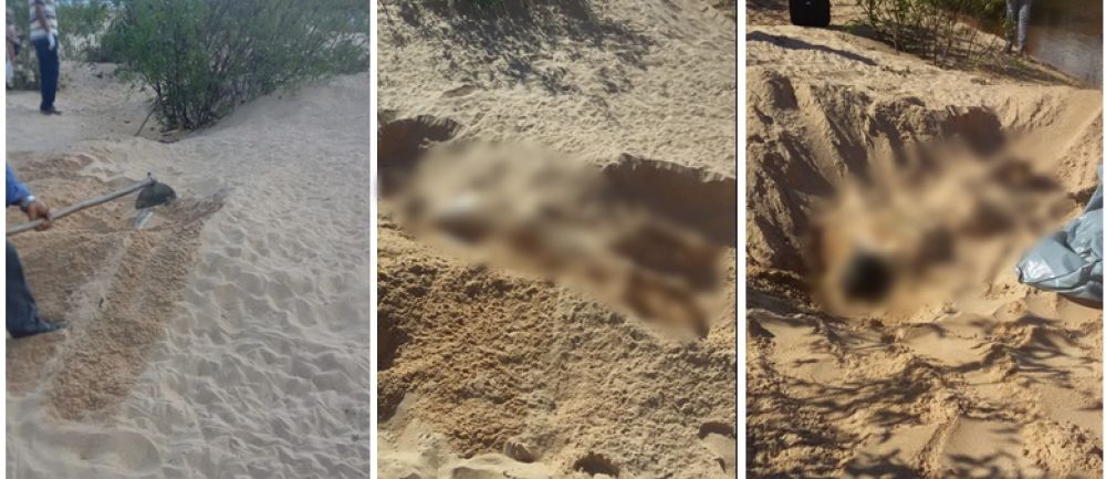O corpo foi encontrado pela pr&oacute;pria companheira enterrado na areia da praia &ndash; Foto: Reprodu&ccedil;&atilde;o/Ag&ecirc;ncia Tocantins