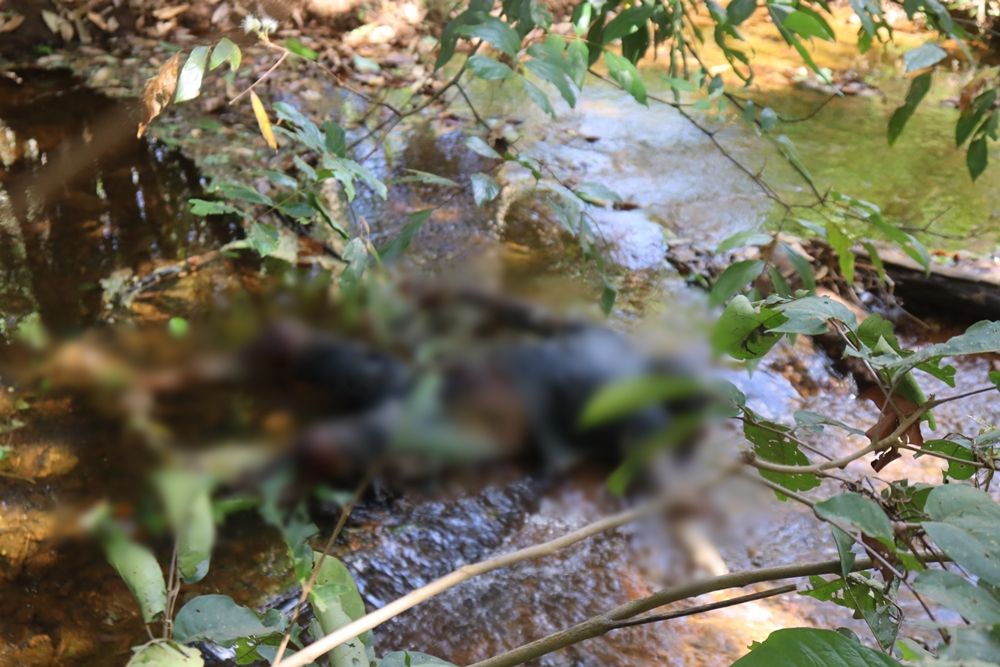 O cad&aacute;ver foi encontrado por populares ca&iacute;do dentro do c&oacute;rrego su&ccedil;uapara &ndash; Foto: Alessandro Ferreira / Ag&ecirc;ncia Tocantins