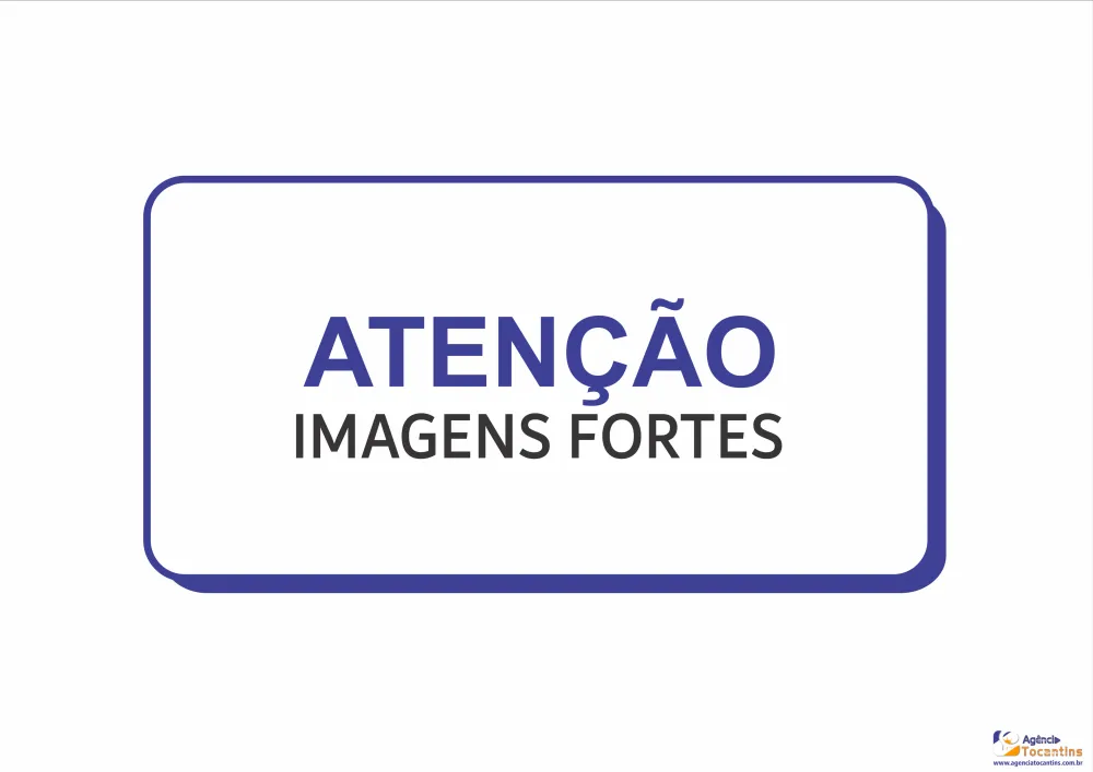 Aten&ccedil;&atilde;o, imagens fortes! &mdash; Foto: Montagem / Alessandro Ferreira