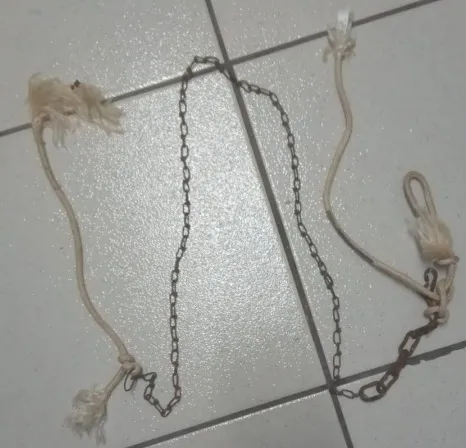 Instrumento utilizado para a pr&aacute;tica do crime &ndash; Foto: Divulga&ccedil;&atilde;o