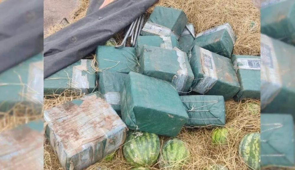 Opera&ccedil;&atilde;o em Porto Nacional apreende 565 kg de coca&iacute;na escondidos em caminh&atilde;o que transportava melancias &mdash; Foto: Divulga&ccedil;&atilde;o/FICCO-TO