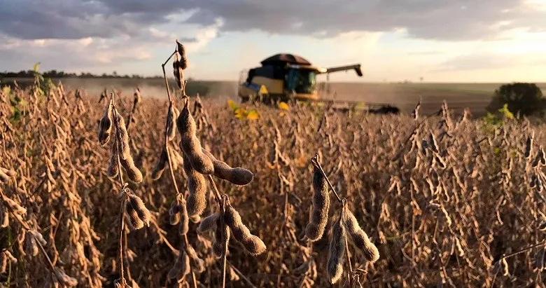 Lavoura de Soja no Tocantins &ndash; Foto: Jurandir F. L&aacute;zaro / Aprosoja Tocantins