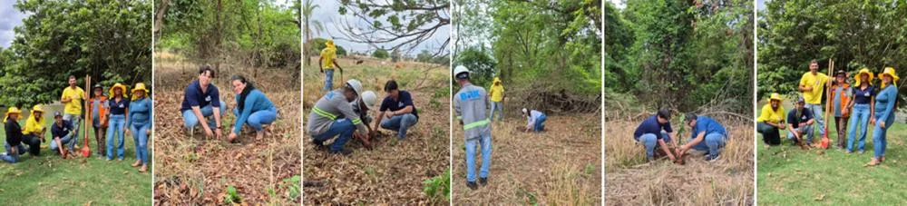 A preserva&ccedil;&atilde;o dos recursos h&iacute;dricos e o equil&iacute;brio ambiental ganharam um importante refor&ccedil;o no munic&iacute;pio de Combinado &ndash; Foto: Divulga&ccedil;&atilde;o / Sec. de Meio Ambiente