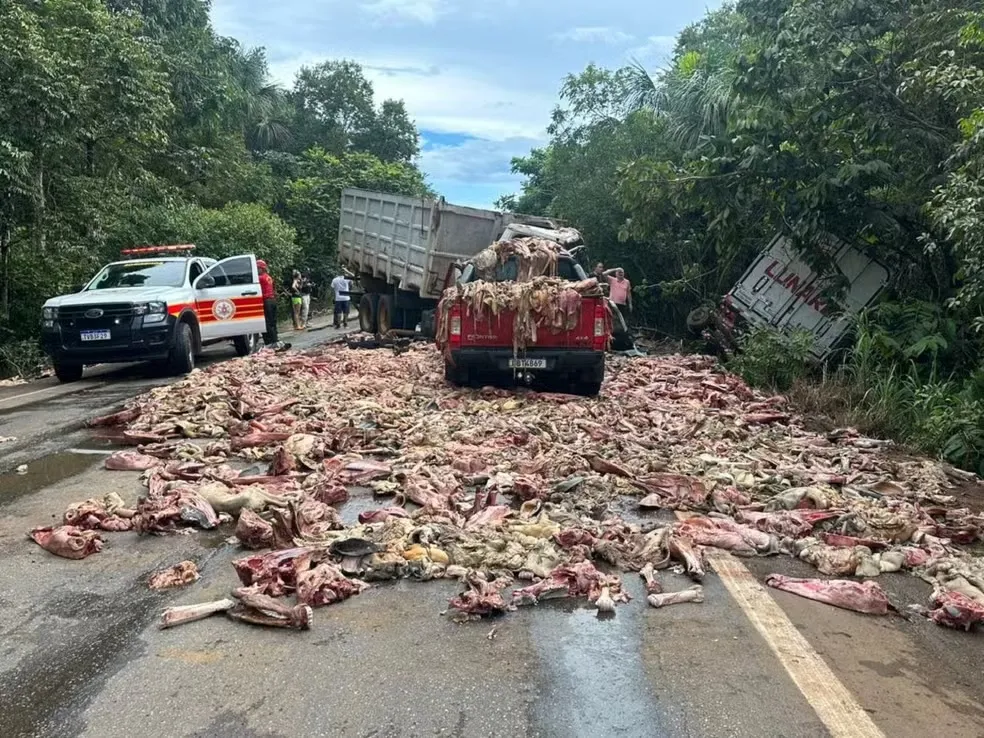 Restos de carne s&atilde;o espalhados pela pista ap&oacute;s acidente na BR-010 &mdash; Foto: Matheus Dias