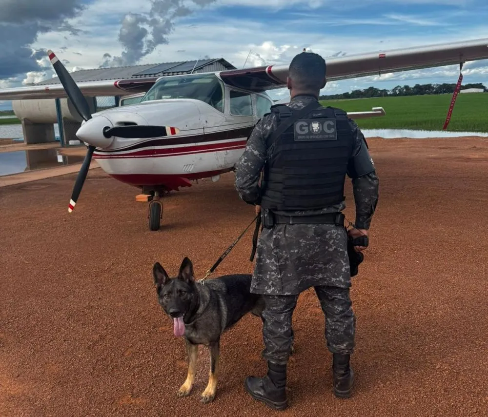 A a&ccedil;&atilde;o policial realizada pelo GOC contou com auxilio do c&atilde;o farejador K9 Alfa, especializado na detec&ccedil;&atilde;o de drogas e armas &ndash; Foto: Reprodu&ccedil;&atilde;o / Ag&ecirc;ncia Tocantins
