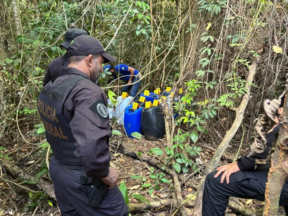 Policiais encontraram combust&iacute;vel de avia&ccedil;&atilde;o escondido em &aacute;rea de mata &mdash; Foto: Difulga&ccedil;&atilde;o/PF-TO