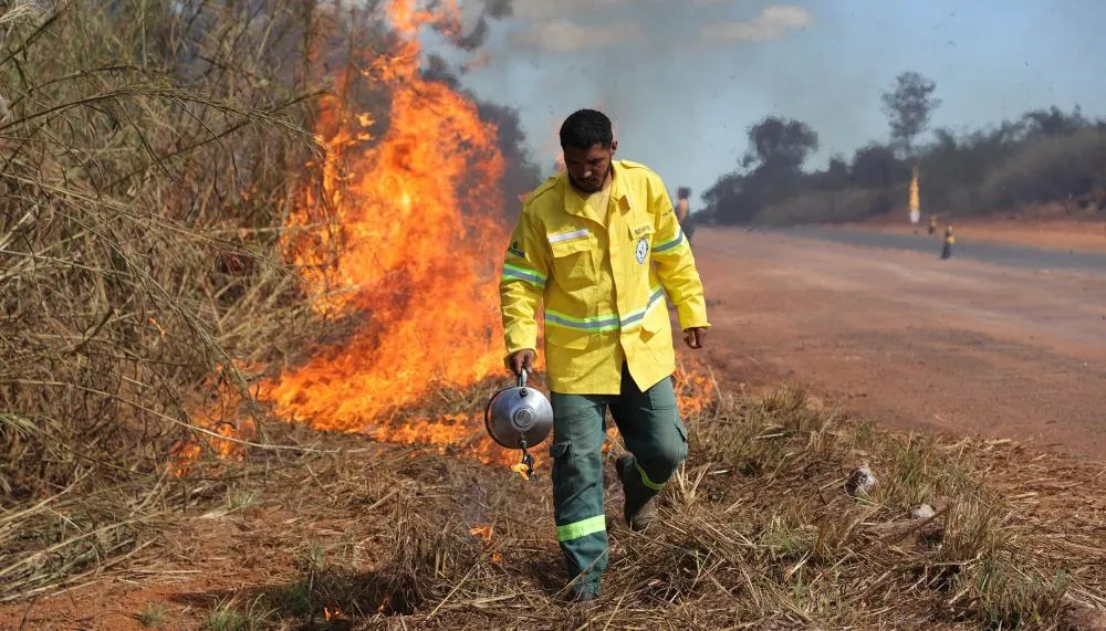 Brigada da APA Lago de Palmas realiza queima controlada em trechos de rodovia - Foto: Ademir dos Anjos/ Governo do Tocantins