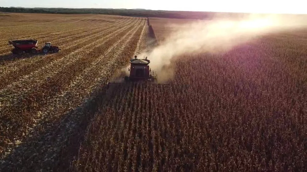 Aprosoja Tocantins alerta para safra desafiadora e reforça importância da tecnologia e do manejo eficiente - Thiago Facco / Aprosoja Tocantins