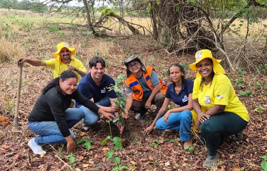As espécies nativas do Cerrado são fundamentais para o sucesso da recuperação ambiental – Foto: Divulgação / Sec. de Meio Ambiente 