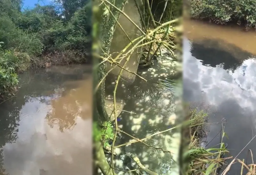 Dejetos sendo despejados diretamente no leito do córrego em Palmas – Foto: Reprodução / Agência Tocantins