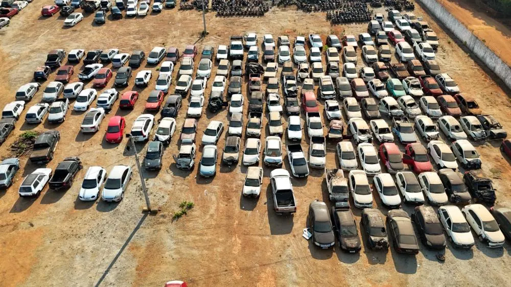  O evento acontece na modalidade on-line, a partir das 9h, com transmissão das arrematações em tempo real pelo site da Sancar - Foto: Félix Carneiro/Governo do Tocantins