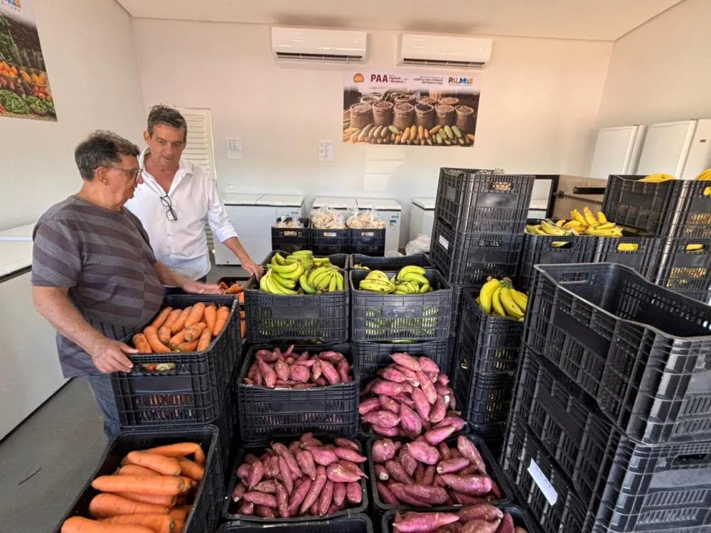 Prefeitura de Palmas distribuirá 460 cestas do PAA para famílias em situação de vulnerabilidade - Foto: Aldenes Lima