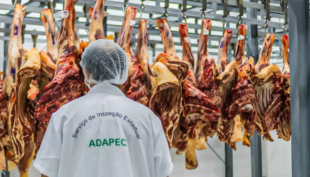 Tocantins consolida posição entre principais exportadores de carne bovina do país e movimenta US$ 633 milhões em 2025