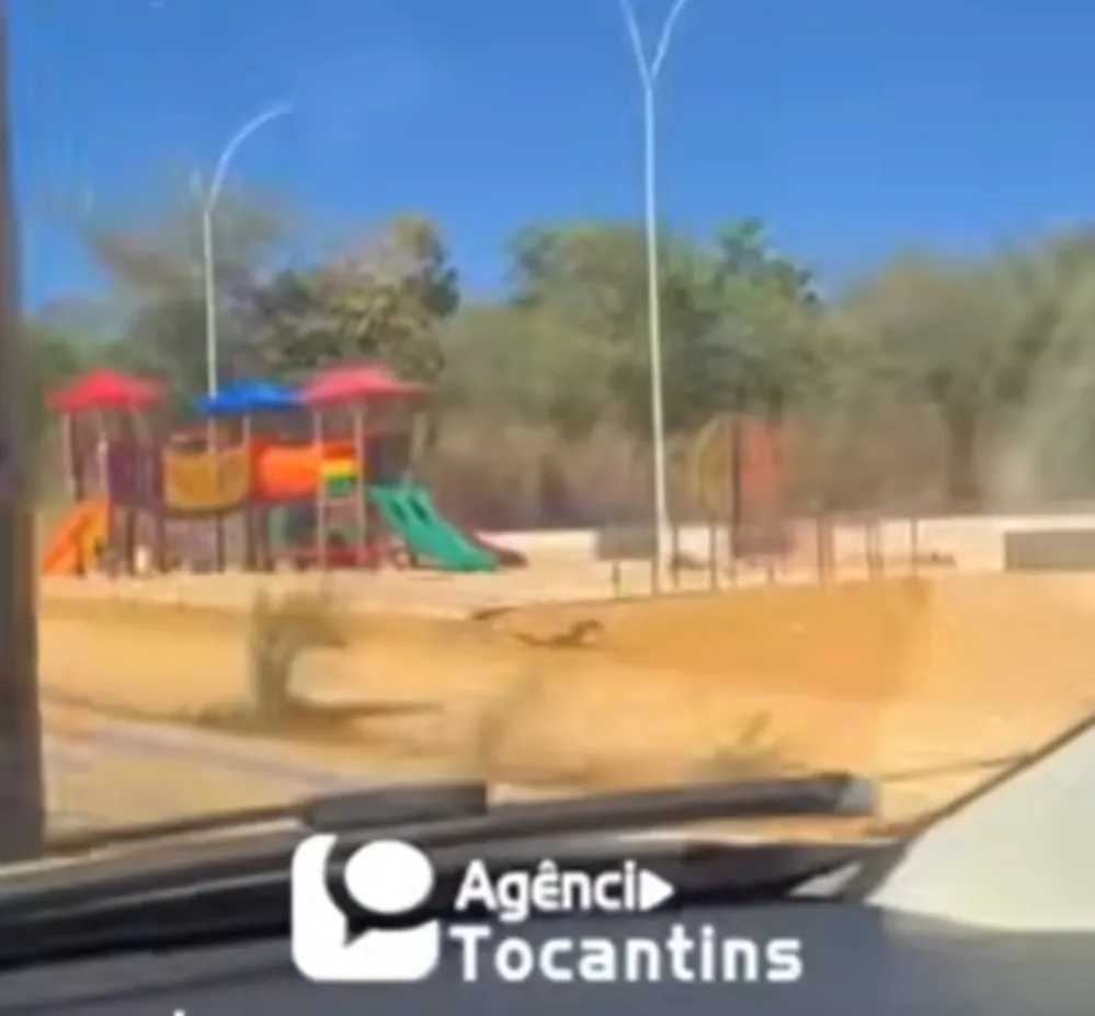 Parquinho infantil instalado próximo ao IML em Palmas gera críticas nas redes sociais – Foto: Reprodução / Agência Tocantins