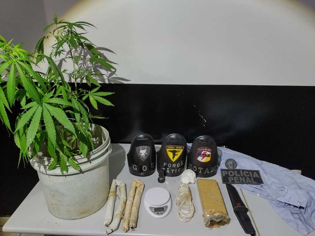Drogas e explosivos apreendidos com suspeito — Foto: PM/Divulgação