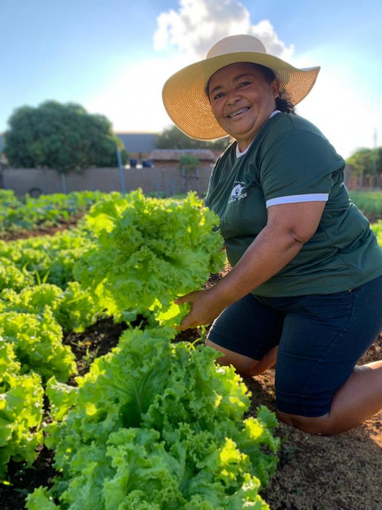 Primeira produção da horta comunitária foi doada à população em cestas de alimentos - Foto: Divulgação 