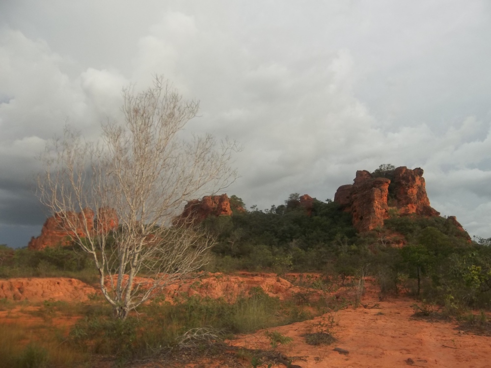 A privatização dos parques estaduais do Tocantins e suas consequências positivas e negativas