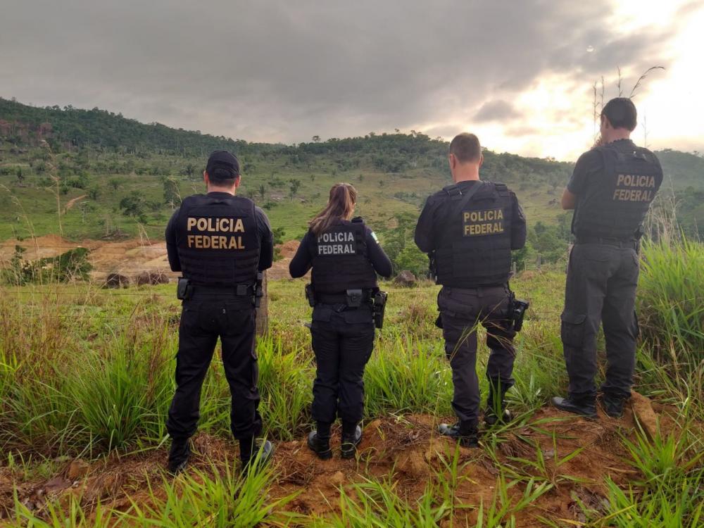 Polícia Federal deflagra operação contra desmatamento ilegal com extração de madeira em terra indígena no Tocantins - Foto: Reprodução / Agência Tocantins 
