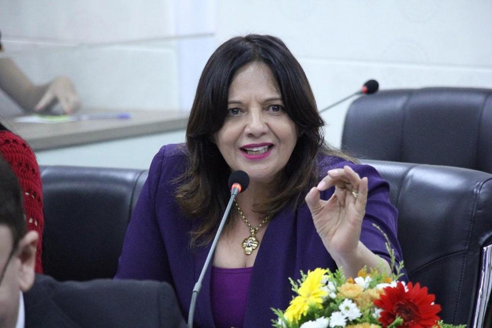 Deputada Valderez Castelo Branco durante sessão na Assembleia Legislativa – Foto: Ulisses Holanda / Assessoria