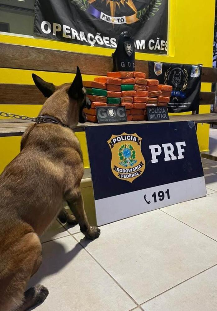 A Operação foi em conjunto com a em conjunto com a Polícia Rodoviária Federal - Foto: Nucom/PRF