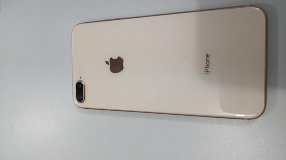 A Polícia Civil identificou o suspeito e recuperou o aparelho que havia sido furtado – Foto: Divulgação / SSP-TO