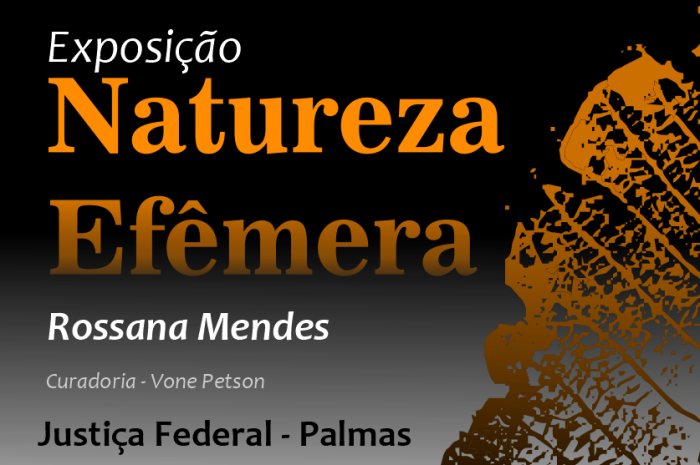 Artista plástica Rossana Mendes expõe obras que destacam o Cerrado