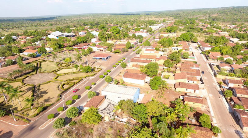 Quem tiver interesse em participar deve se cadastrar gratuitamente e com antecedência no site do leilão –– Foto: Reprodução / Agência Tocantins