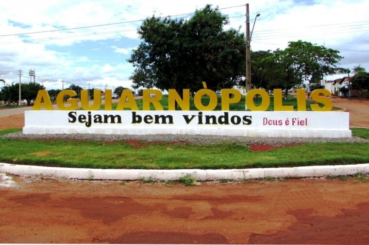 Quem tiver interesse em participar deve se cadastrar gratuitamente e com antecedência no site do leilão –– Foto: Reprodução / Agência Tocantins.