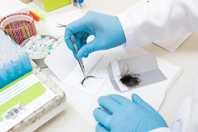 Imagem Ilustrativa / Divulgação 