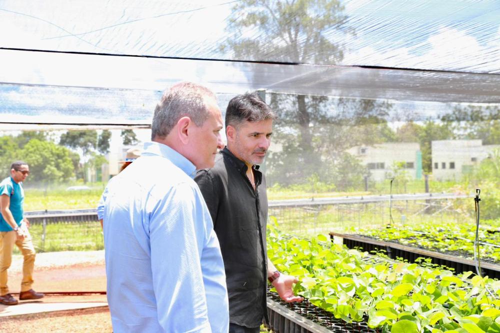 Visita ao viveiro de mudas no Centro de Recuperação de Áreas Degradadas - CRAD de Gurupi