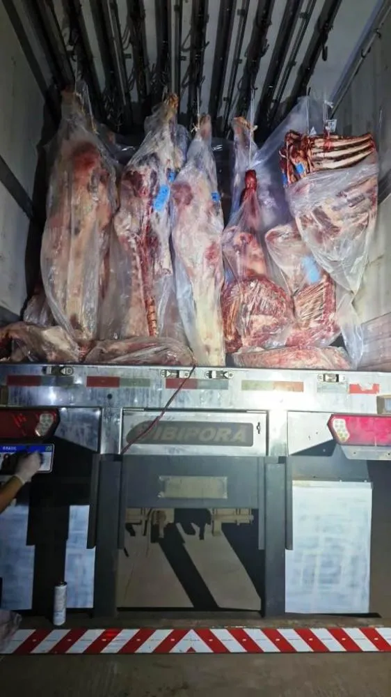  Ação foi desencadeada pela 8ª DEIC de Gurupi, com apoio da 5ª DEIC de Guaraí - Foto: DICOM SSP TO