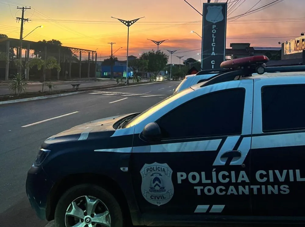 Homem foi preso após ação da 7ª DEIC de Porto Nacional - Foto: Divulgação / SSPTO 