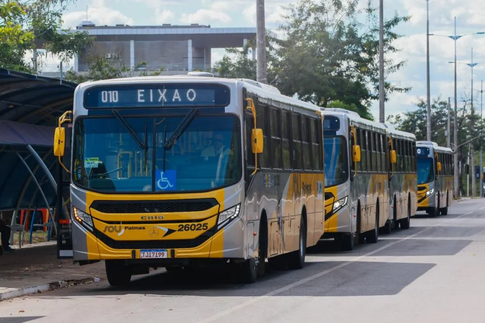 São 140 ônibus, sendo 14 para reserva que atendem a população palmense - Foto: Lia Mara