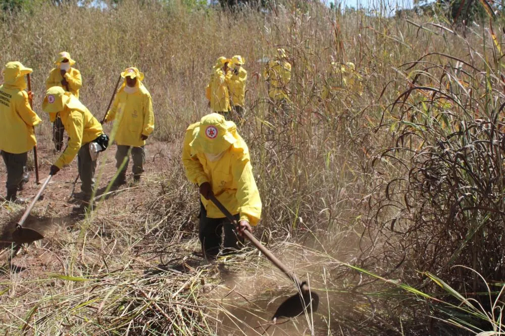 Ações de manejo de incêndio evitam a ocorrência de grandes incêndios florestais - Foto: Soldado Thiago Baltazar dos Santos/Governo do Tocantins